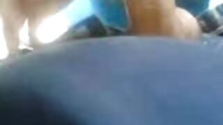 ტატუირებული შამალე ს ...